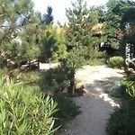 Adriana Ραμπ