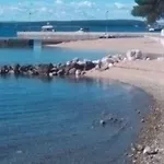Adriana *