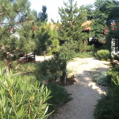 Adriana Rab Town