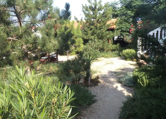 Adriana Rab Town